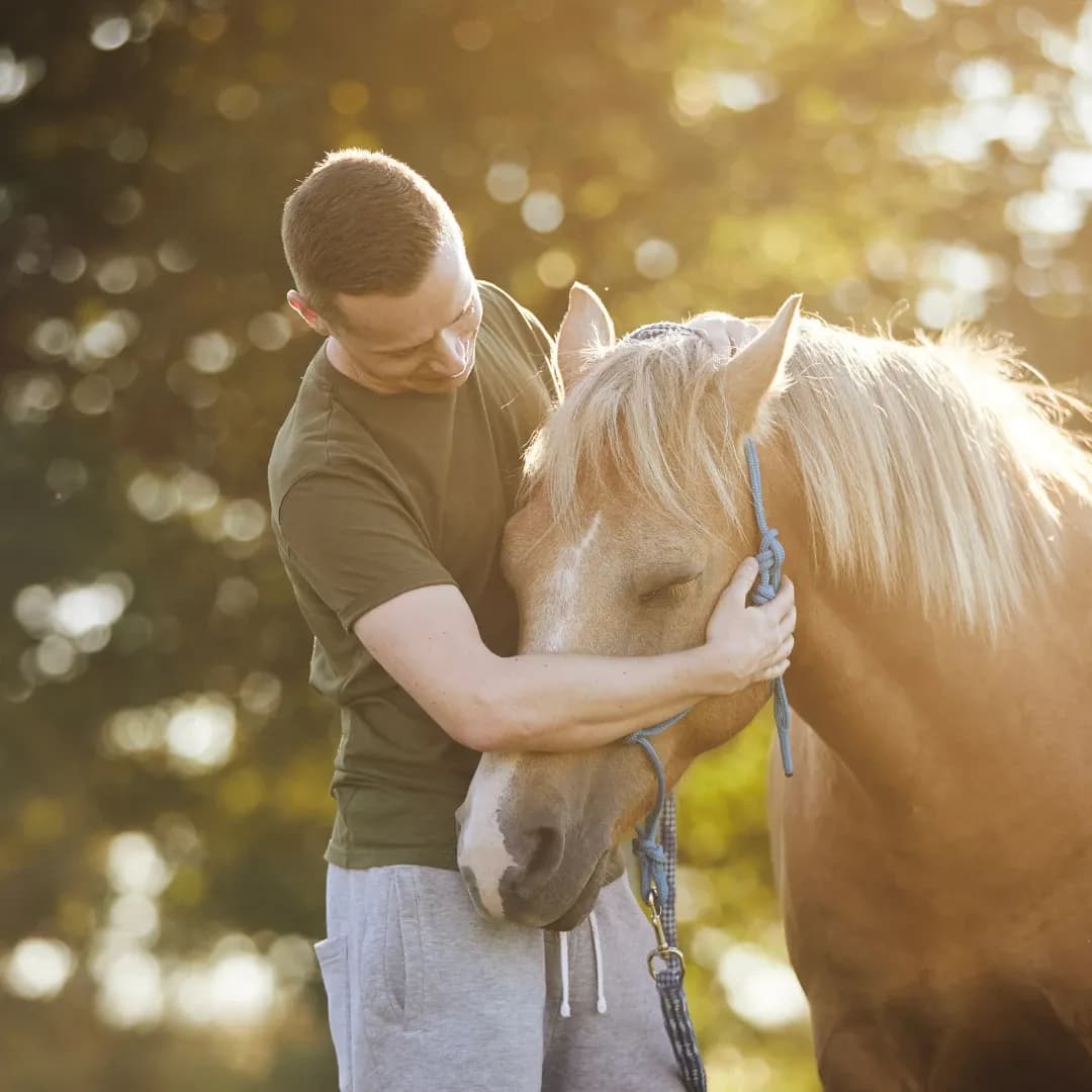 Proč nás tolik přitahují koně? A skutečně léčí?!?draft9