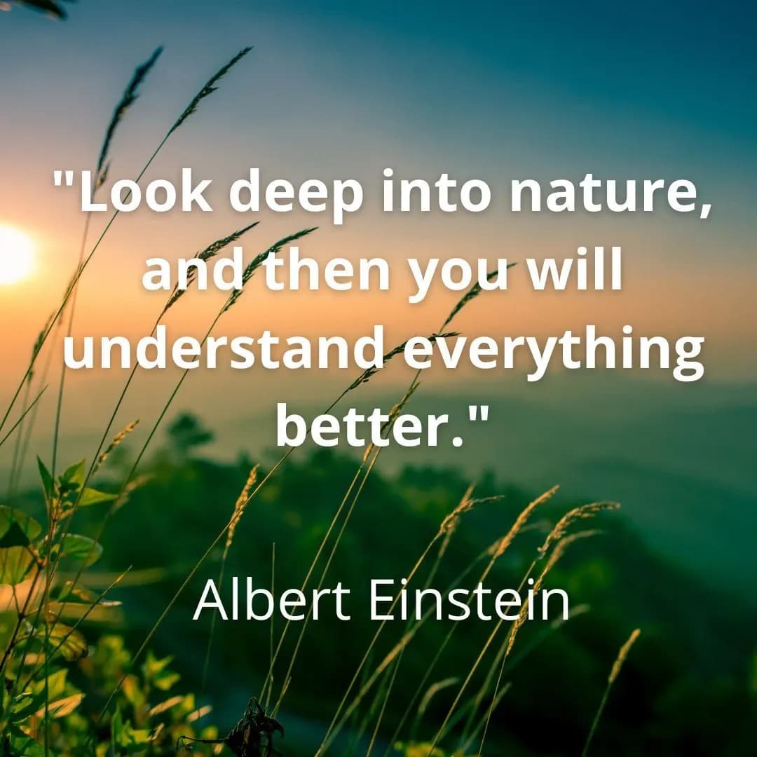 Quote the best one for ever