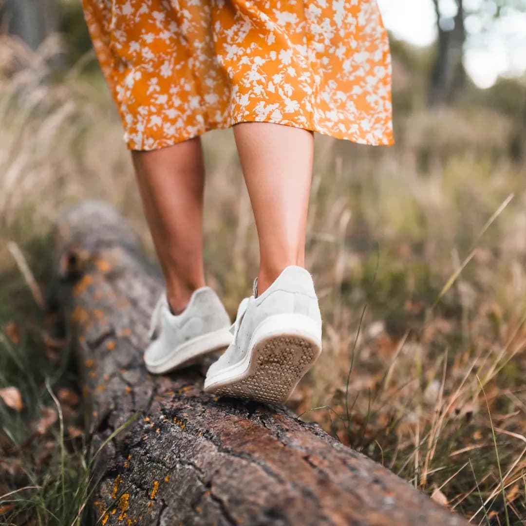 NEW article from wiz 2